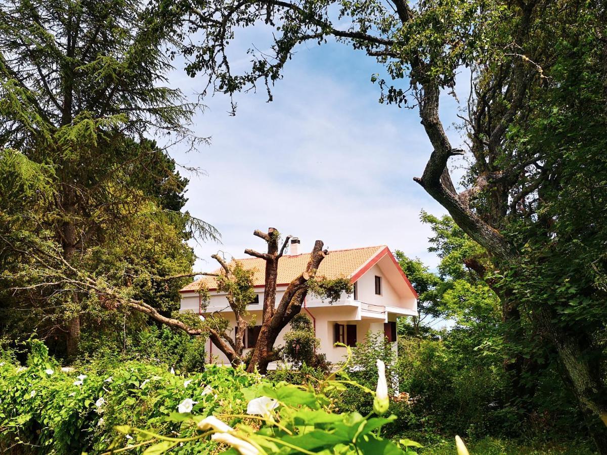 San Leonardo de Siete Fuentes Locanda Sottoboscoゲストハウス エクステリア 写真